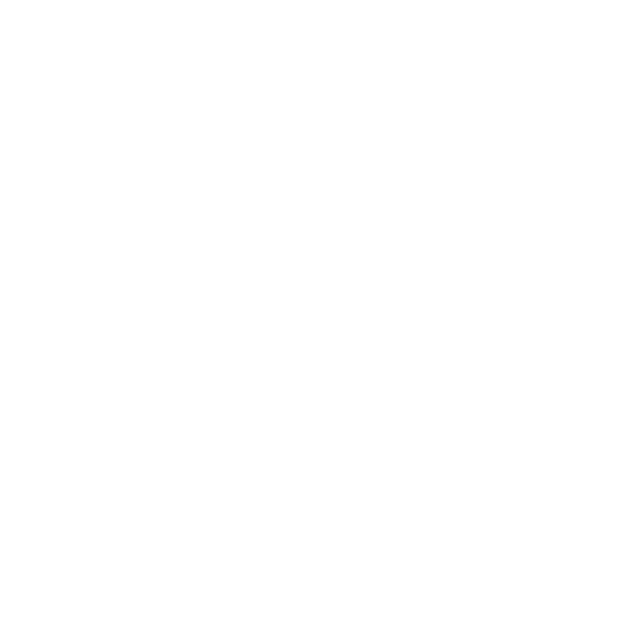 Flying Duck Corp